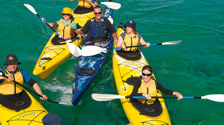 Sea Kayaking Tour to Dolphin Sanctuary and Point Nepean - Mornington Peninsula