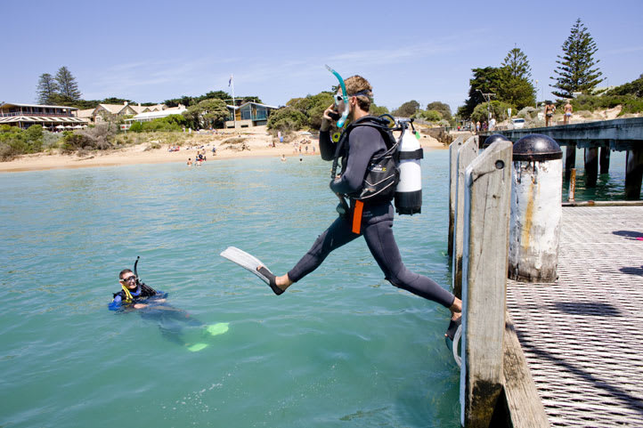 Sea Dragon Introductory Scuba Dive - Mornington Peninsula