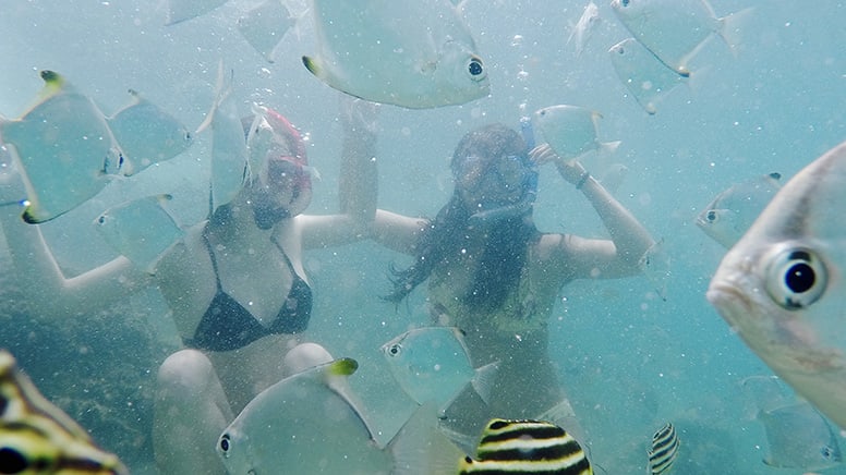 Sea Kayaking And Dolphin Morning Tour - Gold Coast