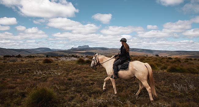 Horse riding