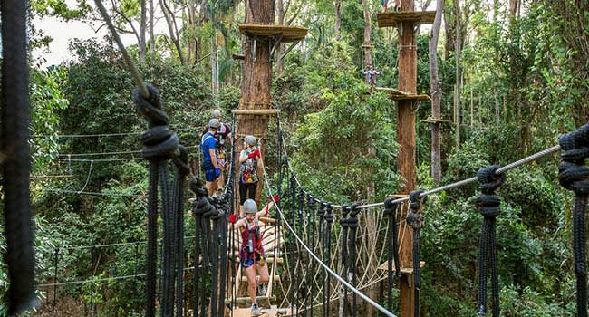 Tree top adventures