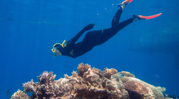 Adventure 1: Whitsundays Snorkelling