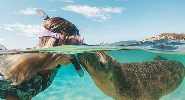 Snorkelling