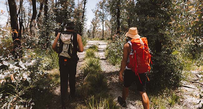 Hiking