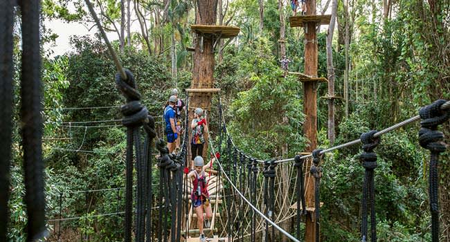 Treetop and flying fox course