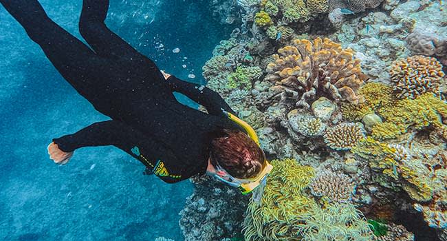 Great Barrier Reef Snorkelling Cruise, Cairns