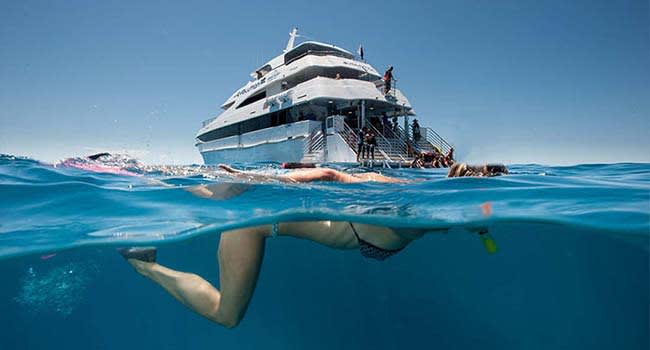 Great Barrier Reef Full Day Snorkelling Cruise, Cairns