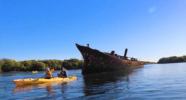 Dolphin Sanctuary & Ship Wreck Kayak, Adelaide