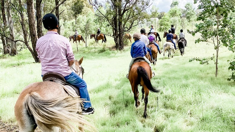 Bushland Trail Horse Ride, 1 Hour - Hunter Valley