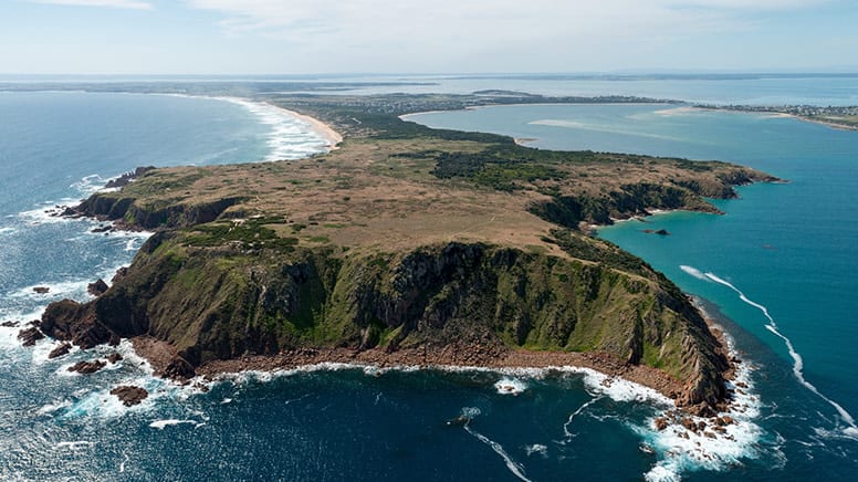 Helicopter Scenic Flight, 16 Minutes - Phillip Island - For 2