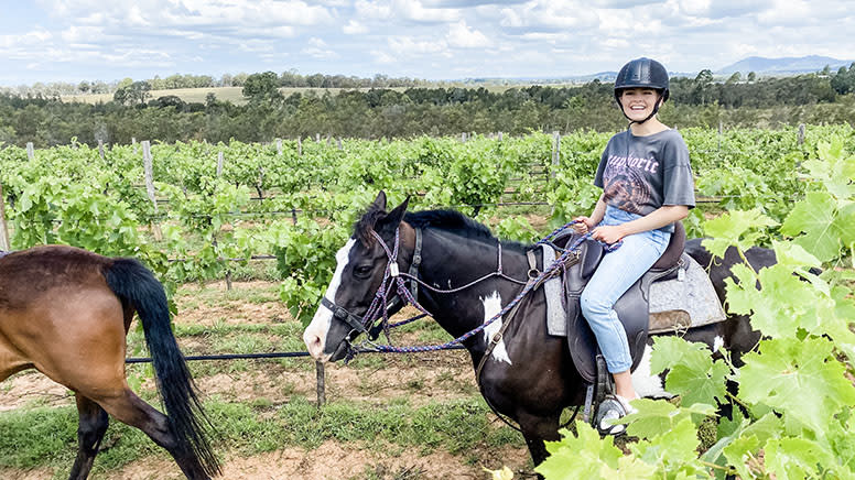 Horseback Vineyard Trail Ride, 90 Minutes - Hunter Valley