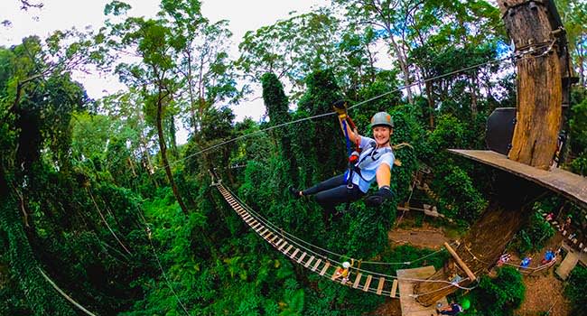 Flying fox and tree top adventures