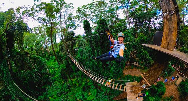 Tree top & flying fox