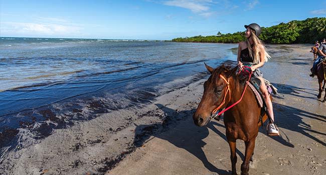 Horse Riding