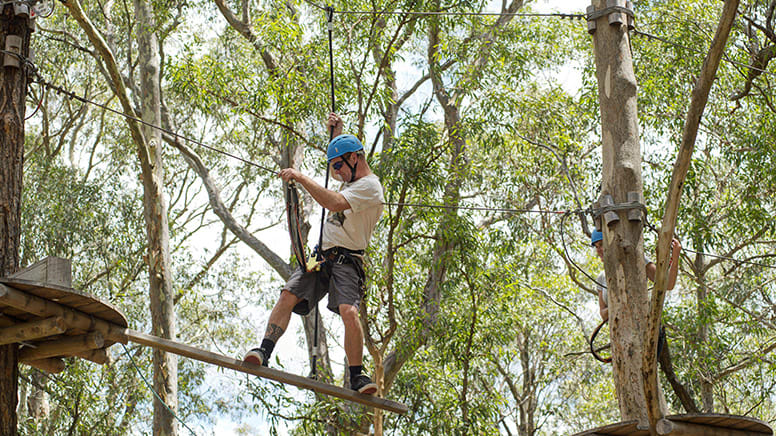 Treetops Climb and Zipline Experience, 2.5 Hours - Sydney