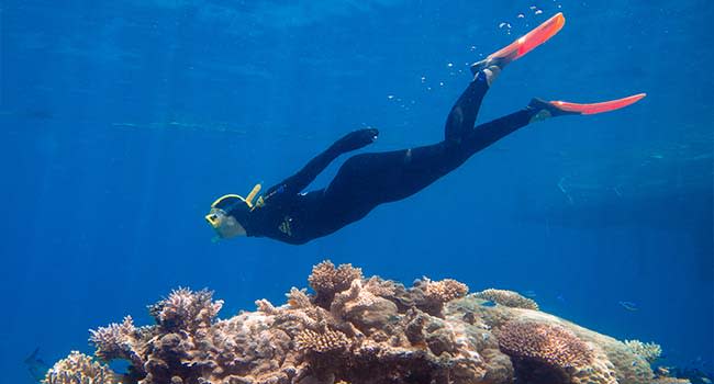 Great Barrier Reef tours