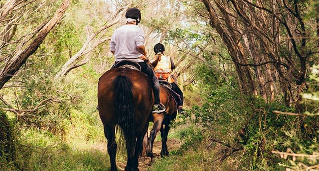 Horse riding