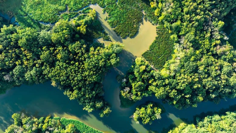 Scenic Rainforest Helicopter Flight, 30 Minutes - Cairns