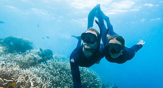 1. Great Barrier Reef tour