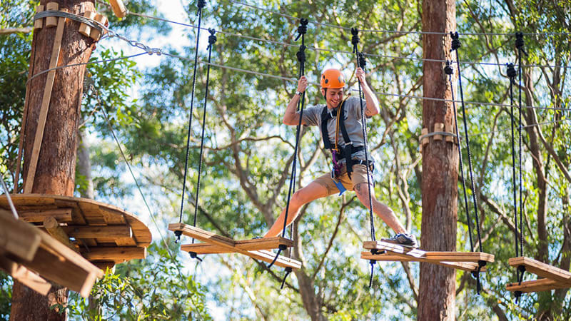 Tree Top Adventure Park Experience - Central Coast