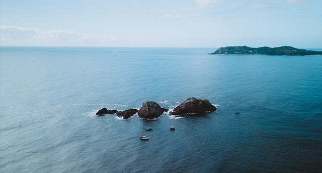 A mix of scuba divers and snorkelers A mix of scuba divers and snorkelers