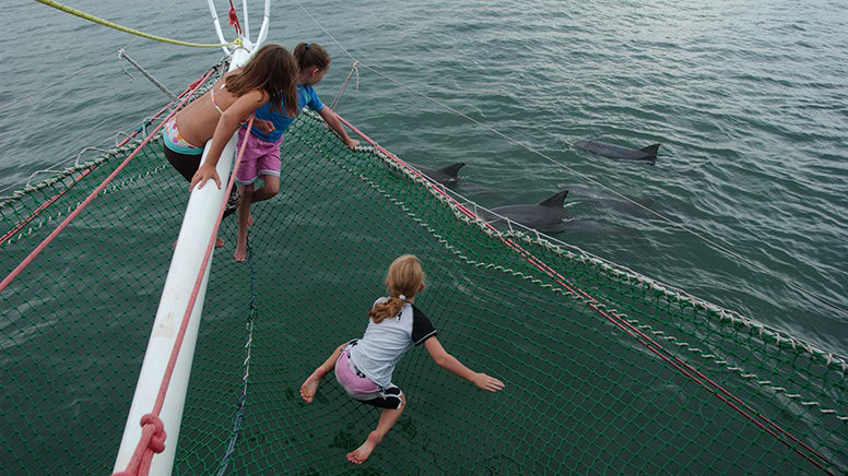 Marine Discovery and Sailing Cruise with Snorkelling - Nelson Bay, Port Stephens