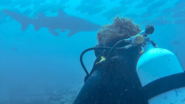 Grey Nurse Shark Double Dive, 4 Hours - Nurse Rock