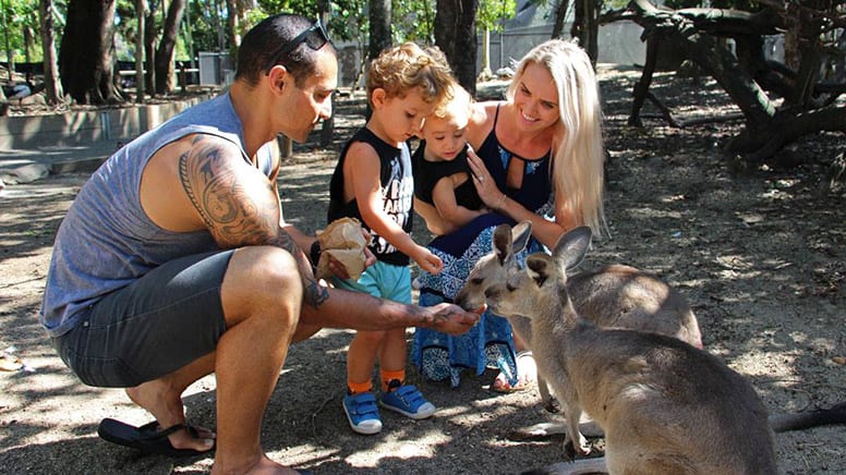 Private Wildlife Habitat Tour, 2 Hours - Port Douglas