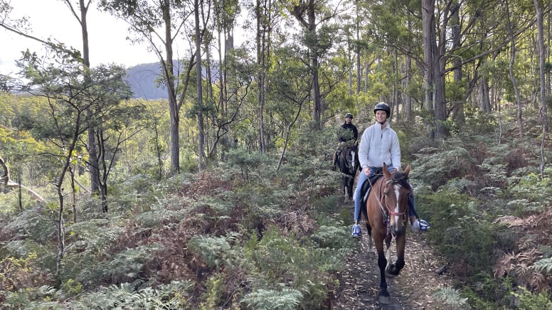 Guided Horse Ride, 2 Hours - Bush Rangers Track