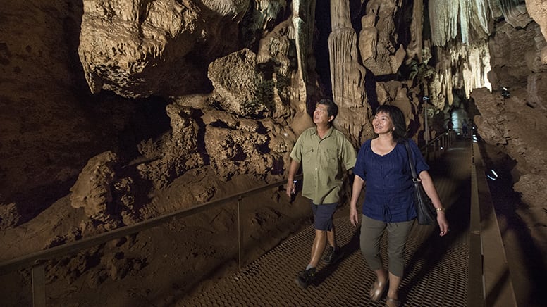 Guided Walking Tour, 1 Hour - Cutta Cutta Caves