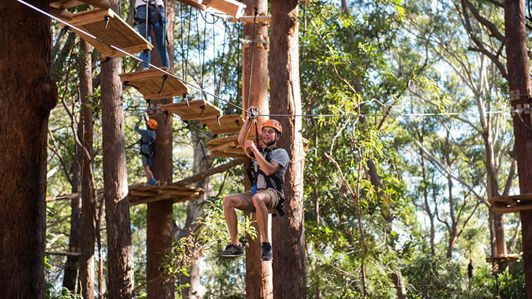 High Ropes Climbing Course with Flying Foxes - Coffs Harbour