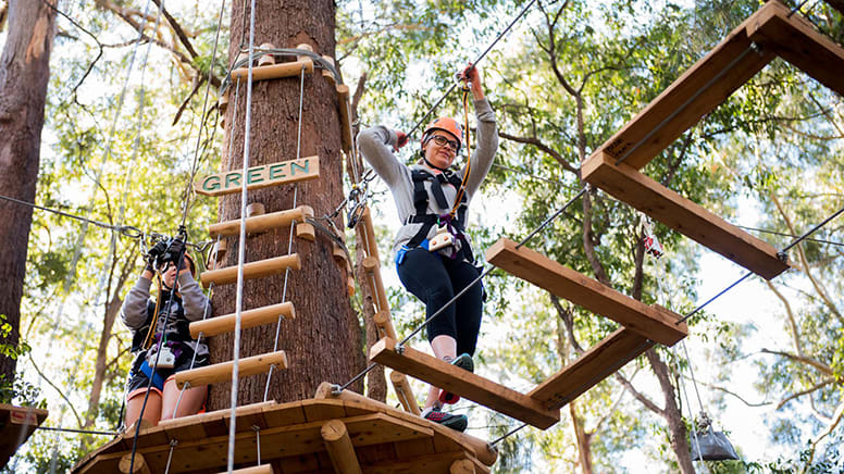 High Ropes Climbing Course with Flying Foxes - Coffs Harbour