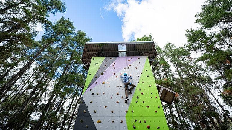 Rock Climbing and Ropes Course Experience, 70 Minutes - Adelaide