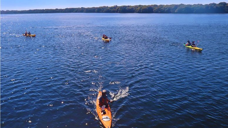 Dolphin Sanctuary Guided Eco Tour, 3 Hours - Adelaide