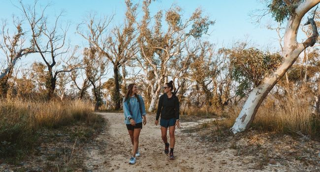 Hiking and Bushwalking Experience Hiking and Bushwalking Experience
