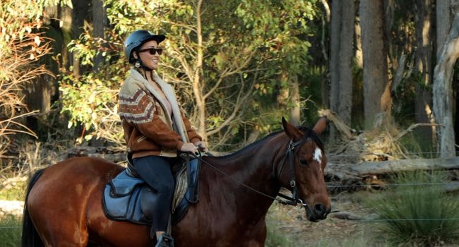 Horse Riding Tour Horse Riding Tour