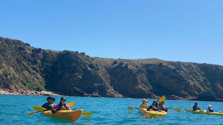 Sea Kayaking, 1 Day - Phillip Island, Melbourne