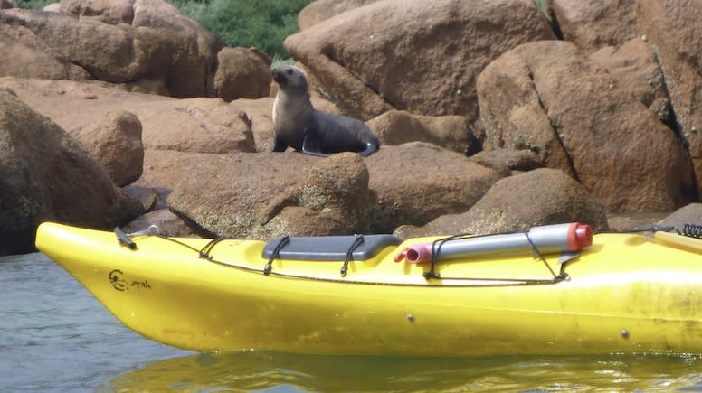 Sea Kayaking, 1 Day - Phillip Island, Melbourne