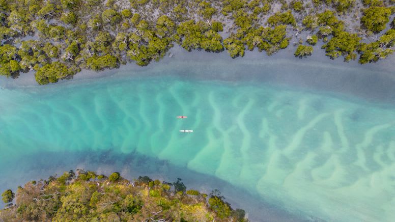 Bermagui River Kayak Tour, 3 Hours - South Coast