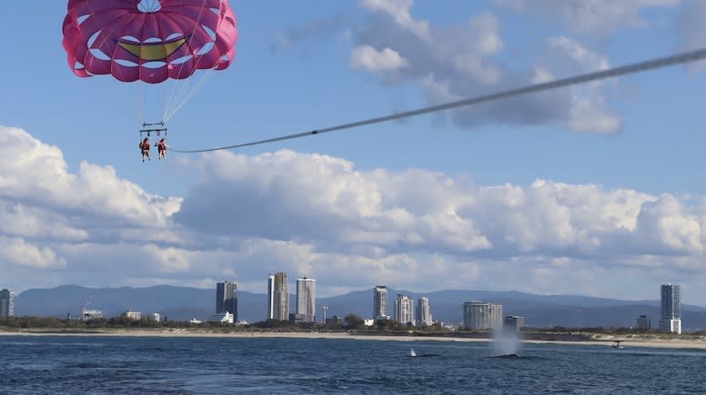 Tandem Parasail Flight - Gold Coast - For 2