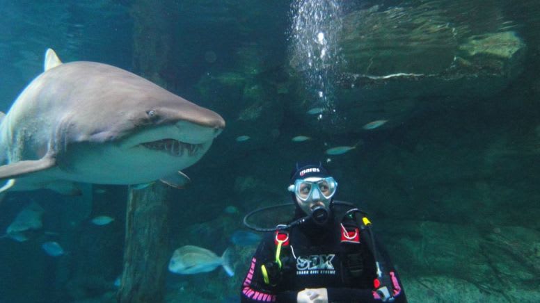 Dive with Sharks -  Sydney SEA LIFE Aquarium