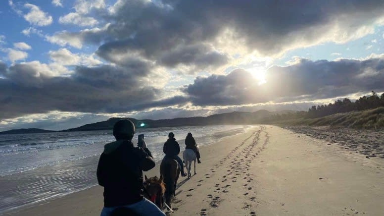 7 Mile Beach Horse Ride, 2 Hours - Cambridge