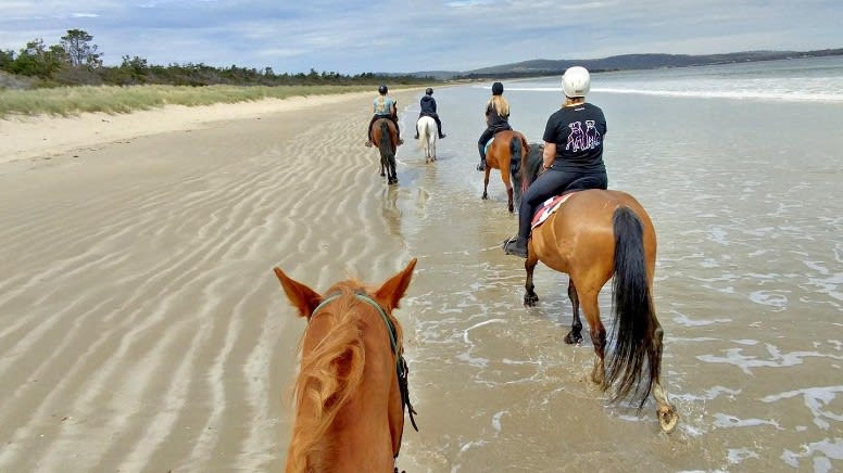 7 Mile Beach Horse Ride, 2 Hours - Cambridge