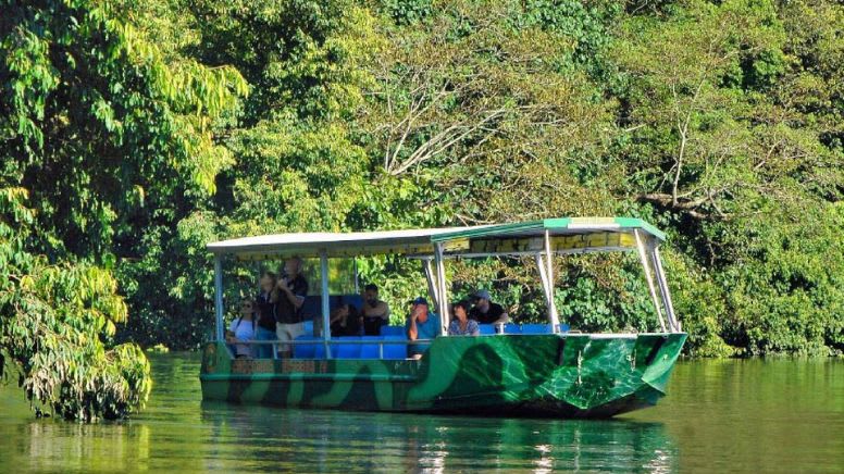 Crocodile Express Daintree River Cruise, 1 Hour - Daintree Village