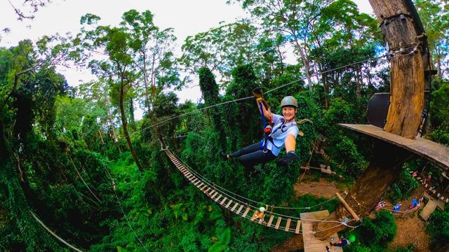Tree top adventures Tree top adventures