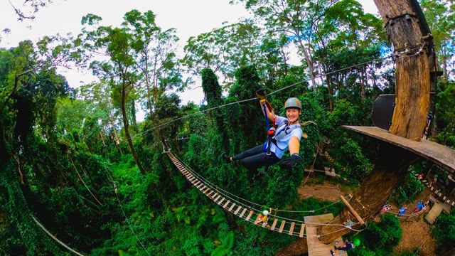 Tree top adventures