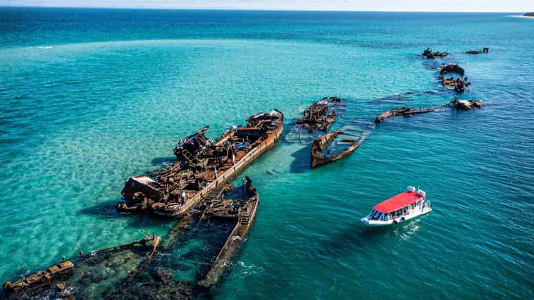 tangalooma shipwreck tour