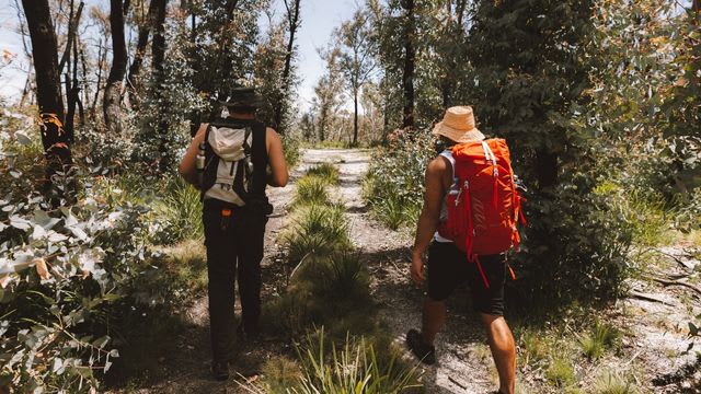 Hiking