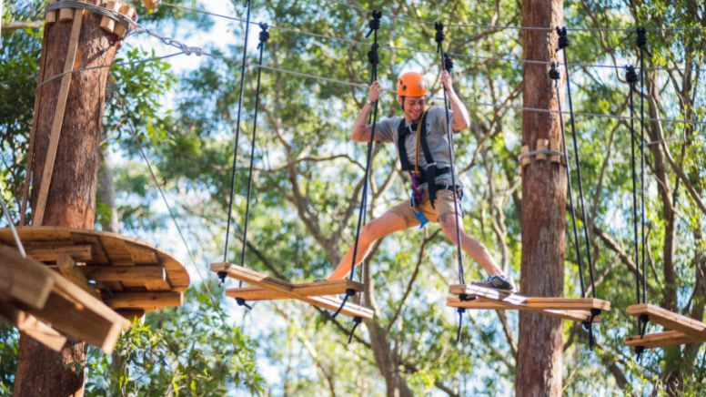 Tree Top Adventure Park Experience - Newcastle