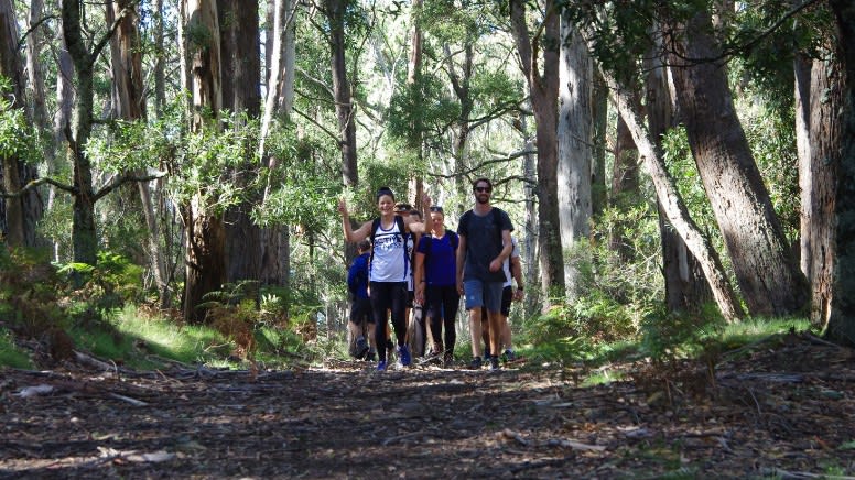 Six Foot Track Bushwalking Adventure, 2 Days - Blue Mountains